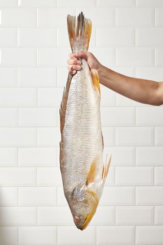 Fotografía de Pescado